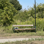 IMG-9413