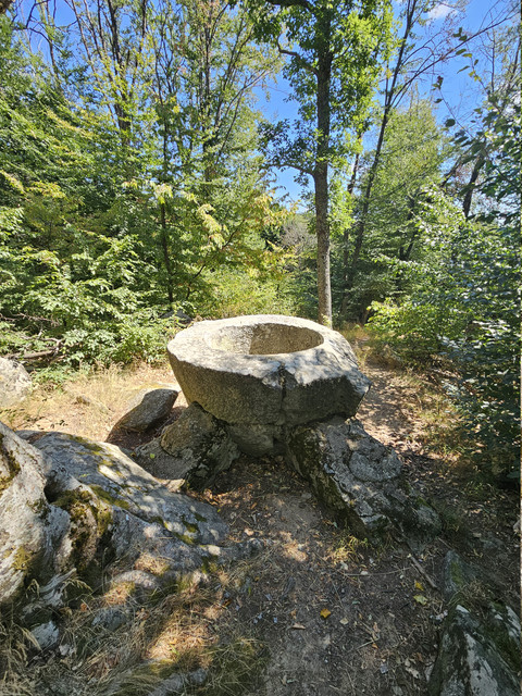 20260814 112409