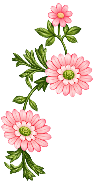 e96cbc7b82bae846a4be842b2c12c97a.png