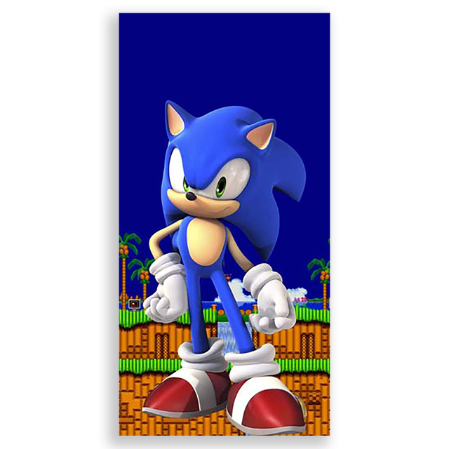 31001580-Sonic