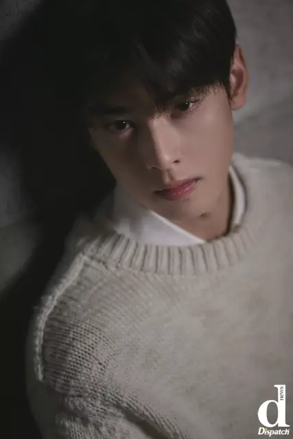 cha eun woo 1301923