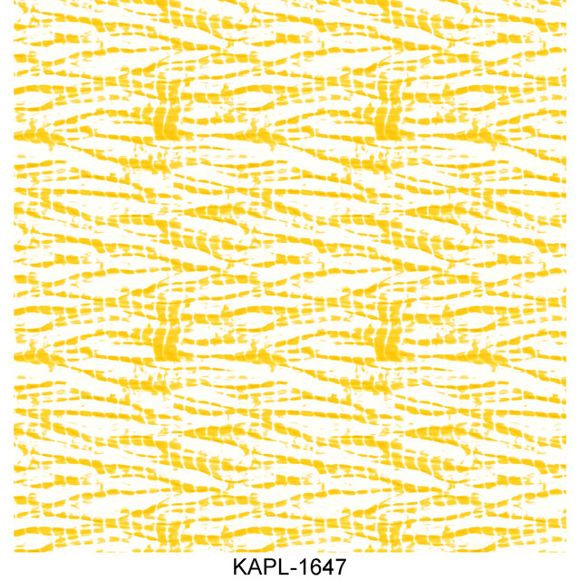 KAPL 1647.jpg