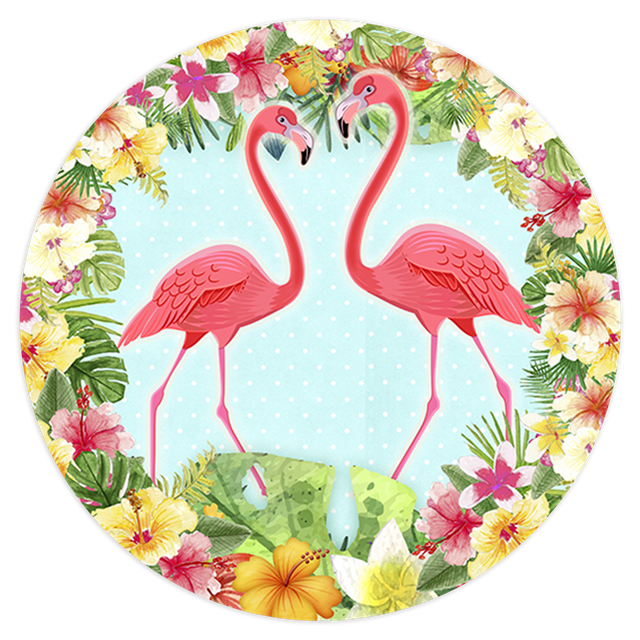 2101262-Flamingos-Ana
