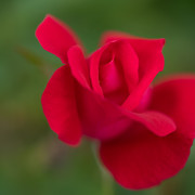 DSC03894 копия