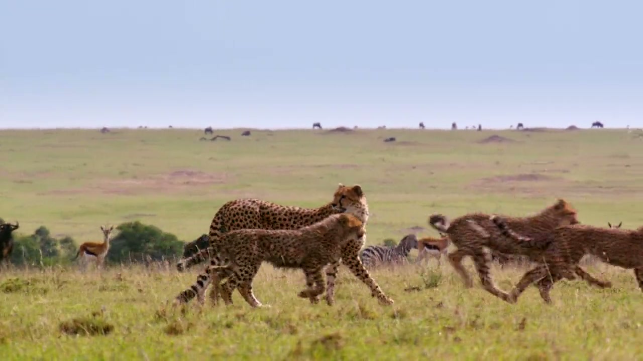 The Hunt Screenshot