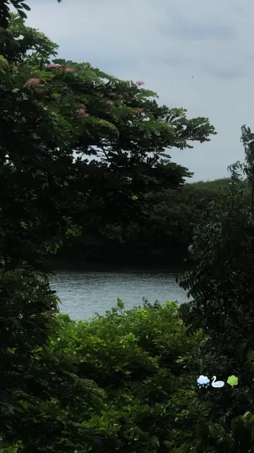 IMG 20260520 130645 443.webp