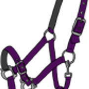 riimu9 8
