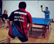 pingpong tabletennis.webp
