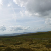 DSCF0205