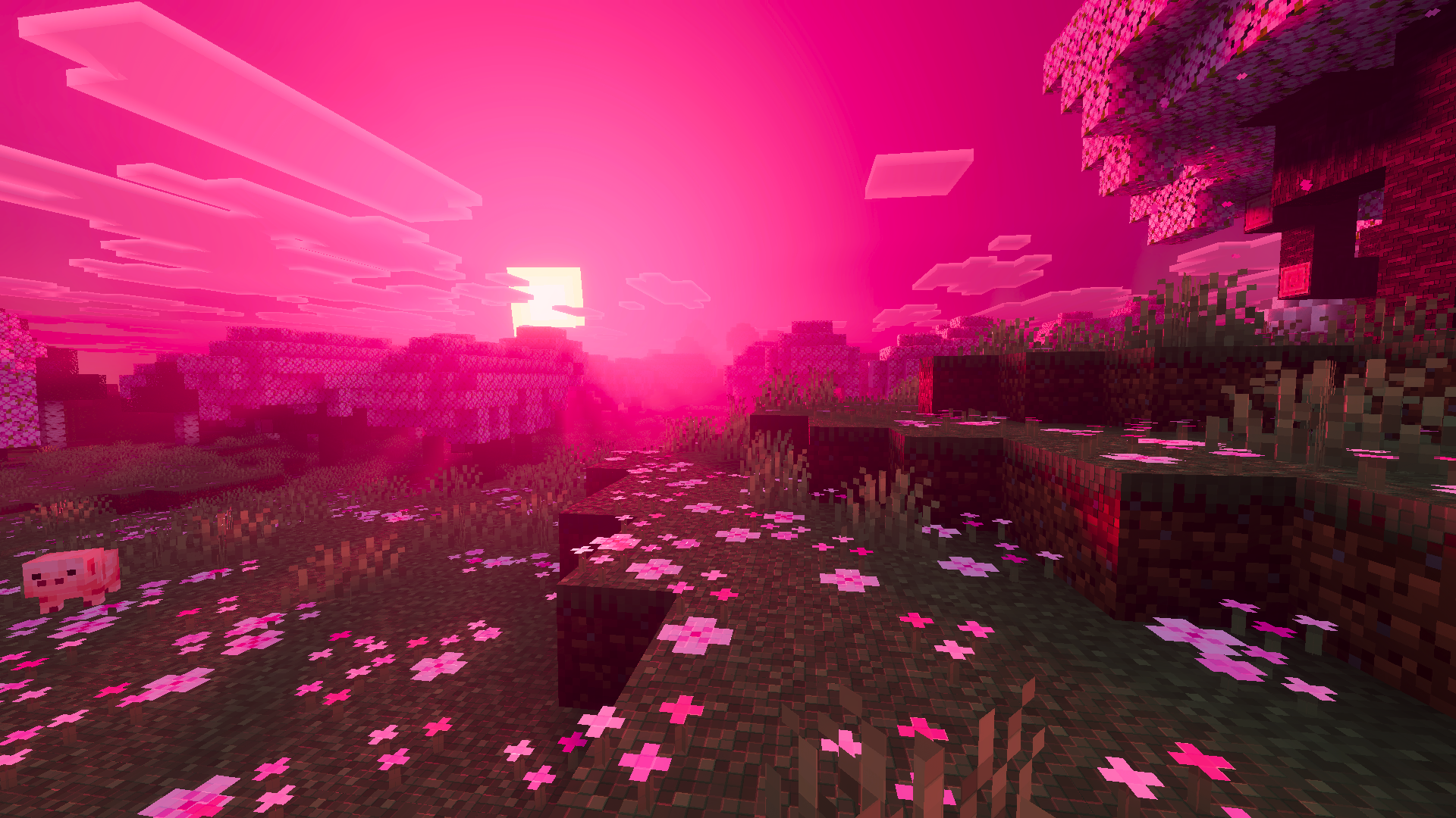Pink Dawn Over Plains