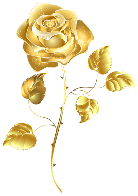 pngegg (75).png