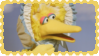 IMG-8350.png