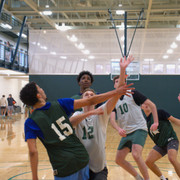 bball 33