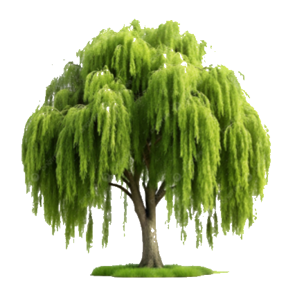 transparent.png