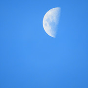 DSCN4836