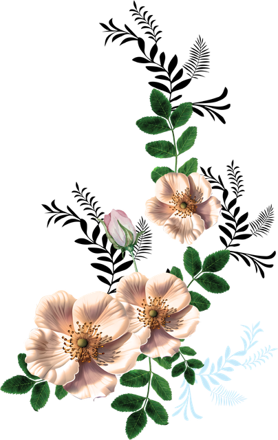 032afe4521d1ed88d74eafd790313453.png