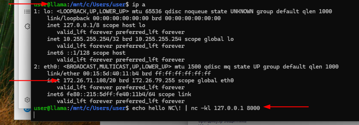 13-wsl-net-0.png