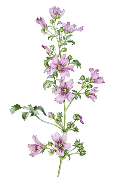 shutterstock 131531114.jpg