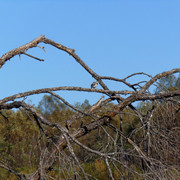 DSC06927