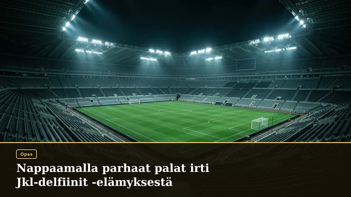 Nappaamalla parhaat palat irti Jkl-delfiinit -elämyksestä
