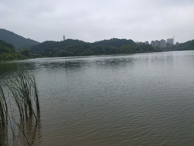IMG20200713130844.jpg