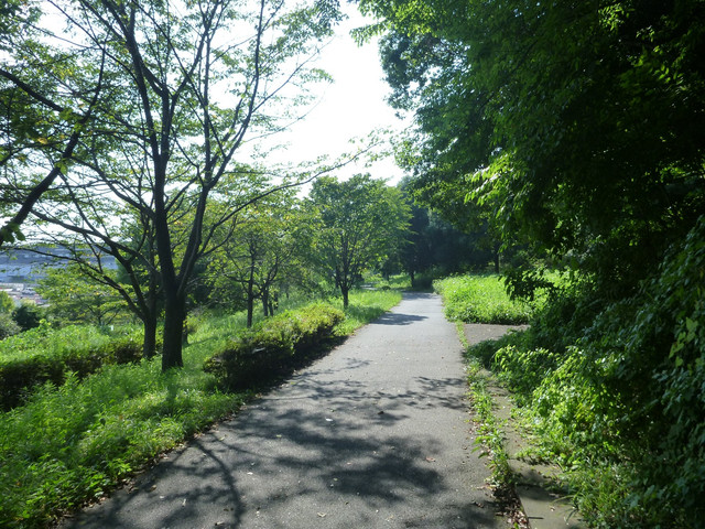 P1340775