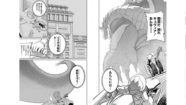 DLRAW-NET-013