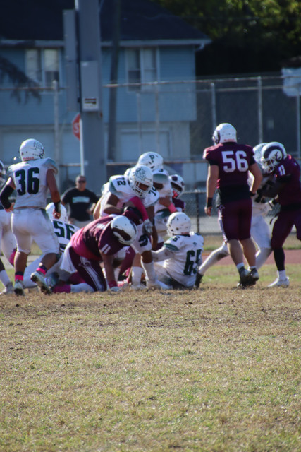 IMG-4843.jpg