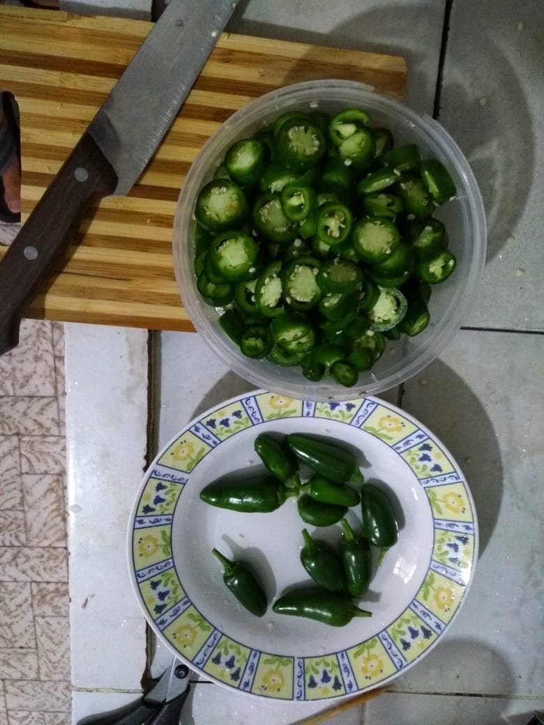 [Imagem: 01.jpg]