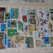 IMG-3731