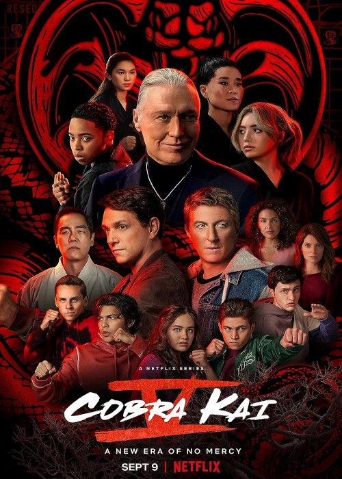 Cobra Kai (2022) (Sezon 5) MULTi.1080p.NF.WEB-DL.x264-R22 / Lektor i Napisy PL
