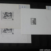 IMG-2359