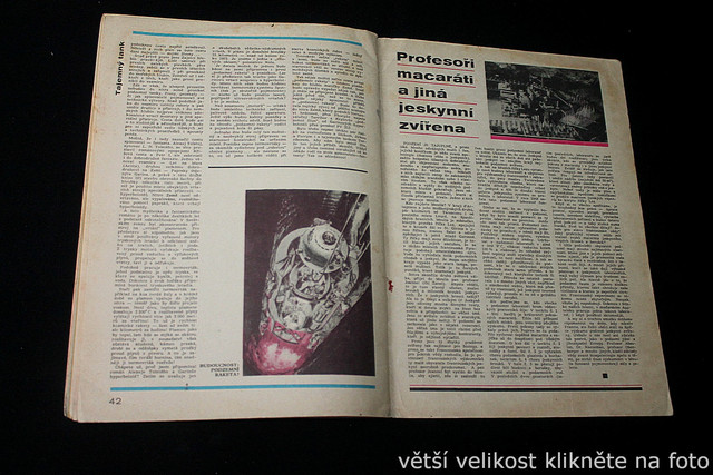 IMG-3592.jpg
