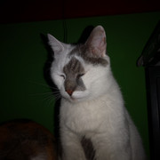 IMG-20220124-025440