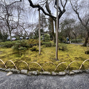 IMG-2788