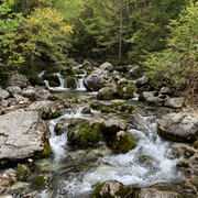 IMG-02401
