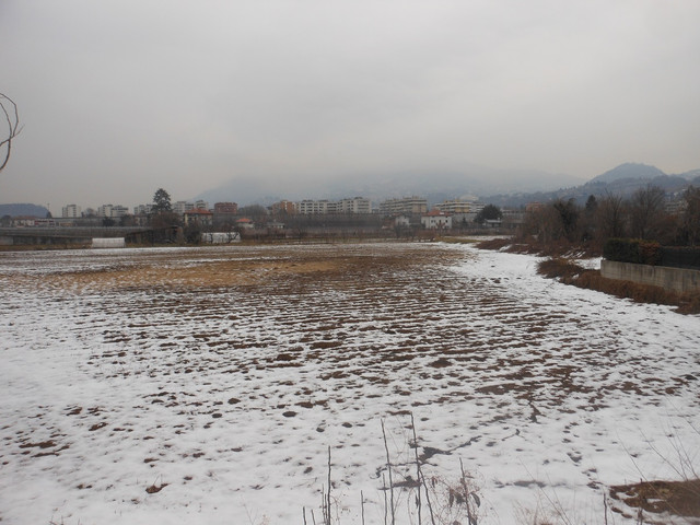 2-DSCN6046