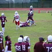 IMG-2768
