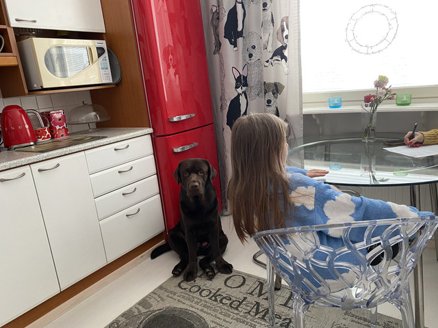 9-BF4-BEE9-9328-4-EB0-9-E9-A-63926737149