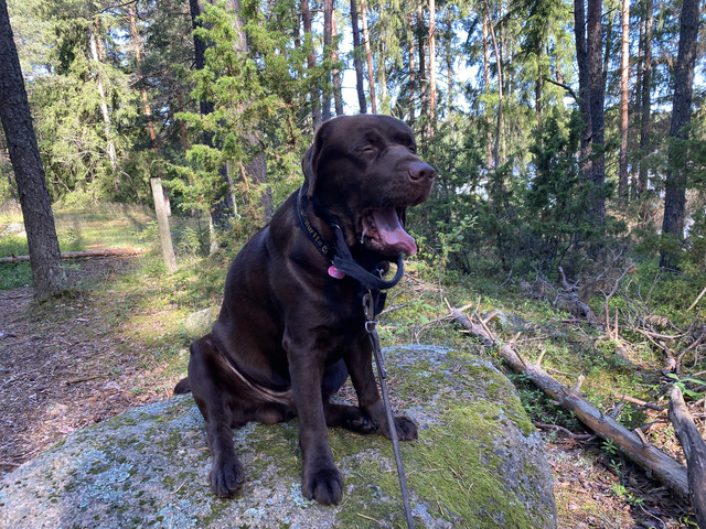 46195-A5-E-2092-4-E67-8-A12-52-E7-AB2-C5