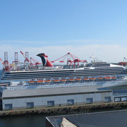IMG-5788