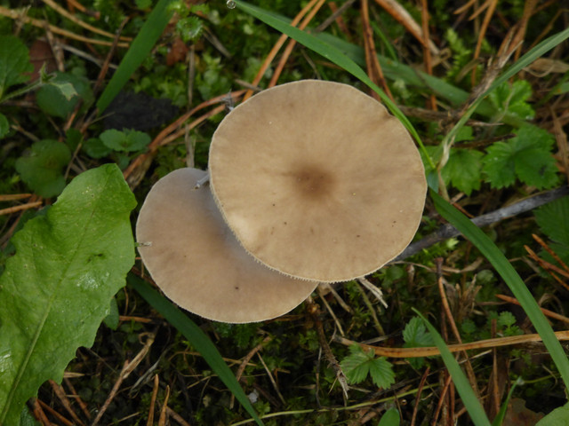 P1130647