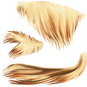 PonyShetland_Mane.dds