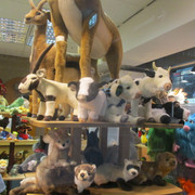 IMG-3193
