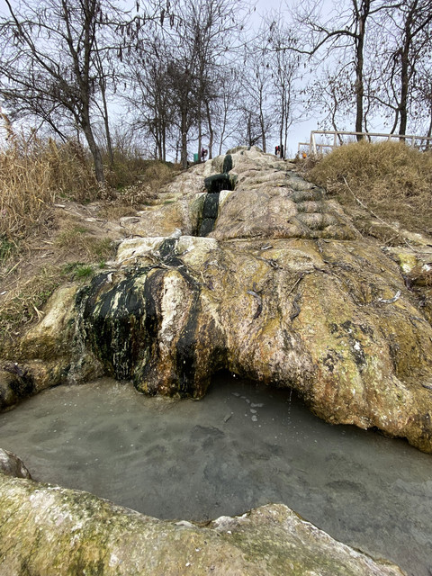 IMG-6045