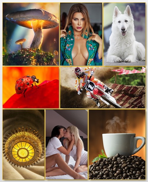 Best Mix Wallpapers 331