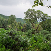 DSCF0622b