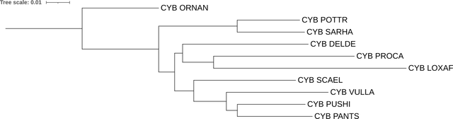 cyb-fastme-p-tree