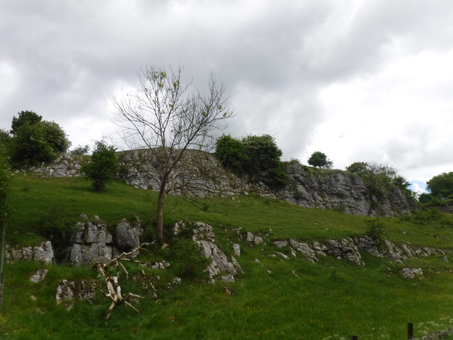 DSCF6057.jpg