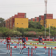 IMG-0019